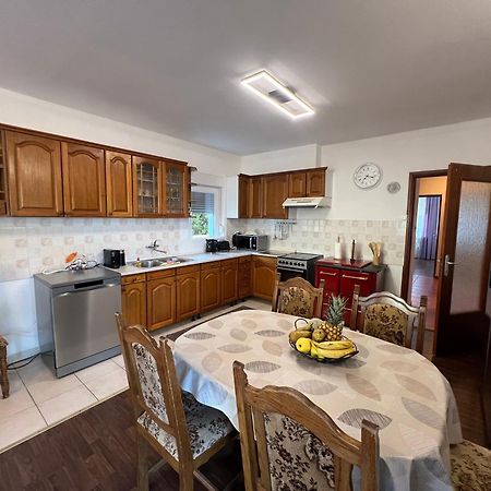 Apartment Lucija "Pet Friendly" Crikvenica Dış mekan fotoğraf